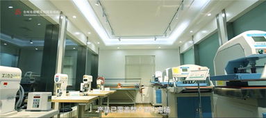 臺(tái)州市路橋同創(chuàng)服裝機(jī)械廠 專業(yè)鑄就品質(zhì)，創(chuàng)新引領(lǐng)未來